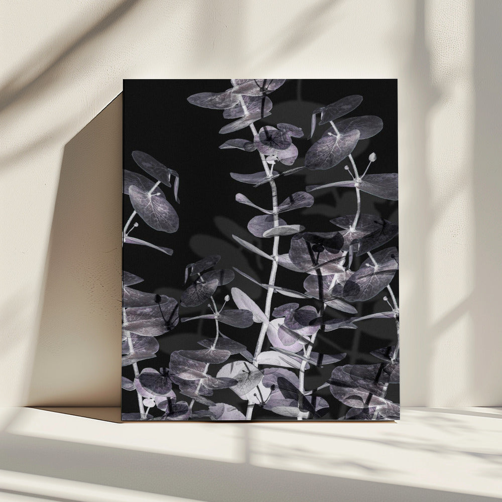 Eukalyptus_Negativ_002 | Leinwand