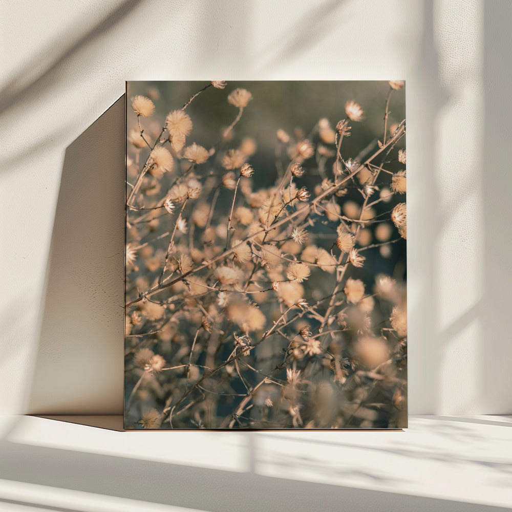 Strandblumen_003 | Leinwand
