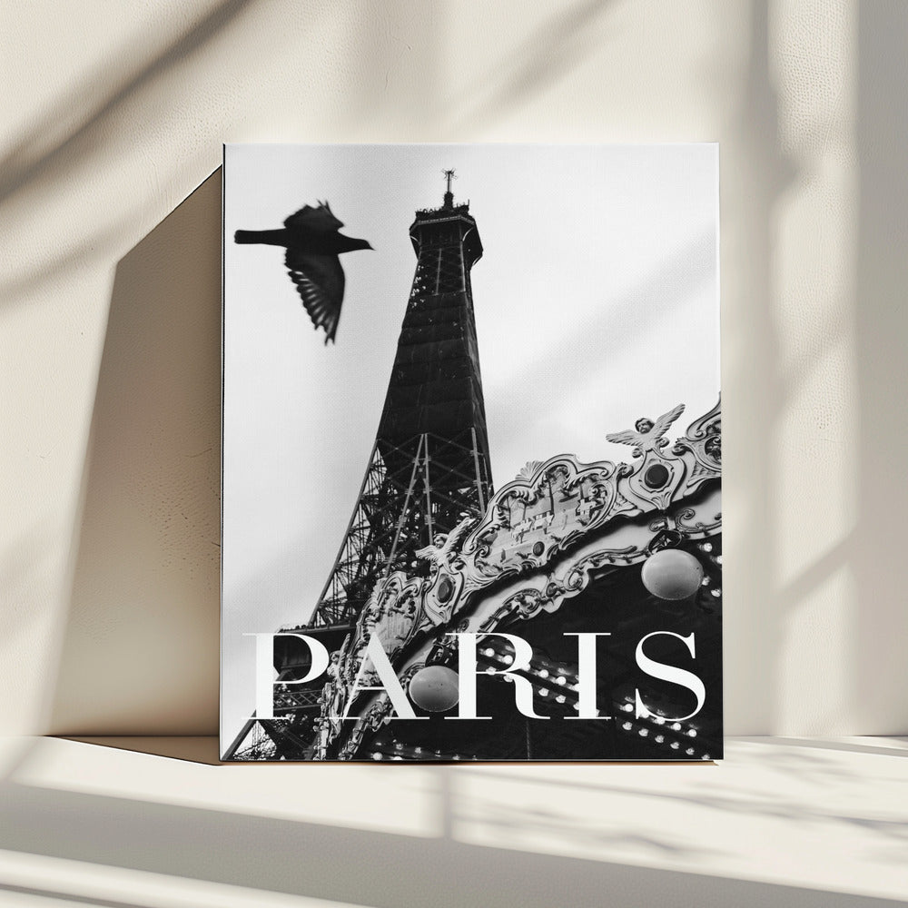 Paris Dove | Canvas