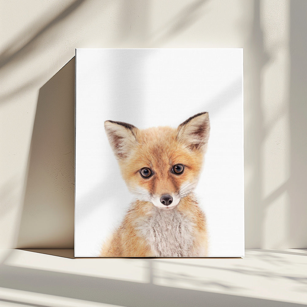 Baby Fuchs | Leinwand