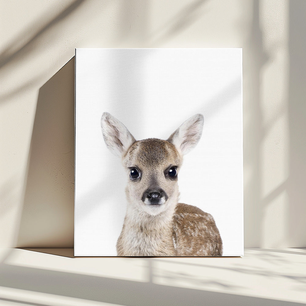 Baby Hirsch | Leinwand