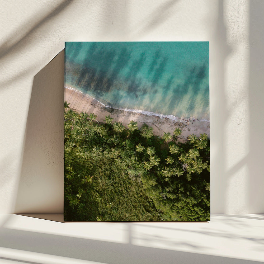 Palm Beach von oben | Leinwand