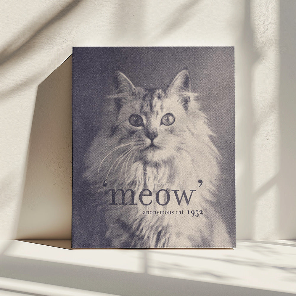 Famous Quote Cat | Canvas