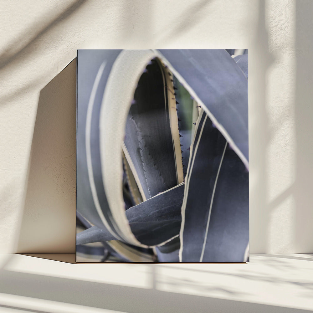 Spiral of Nature | Canvas