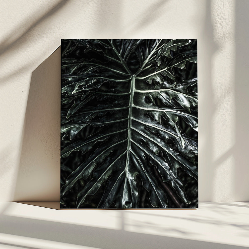 Dark Leaf Elegance | Leinwand