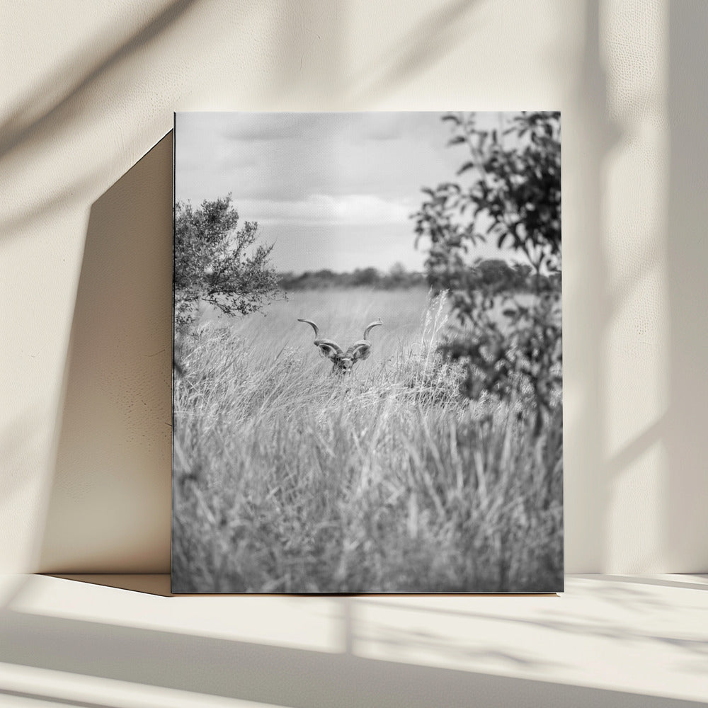Versteckt im Gras | Leinwand