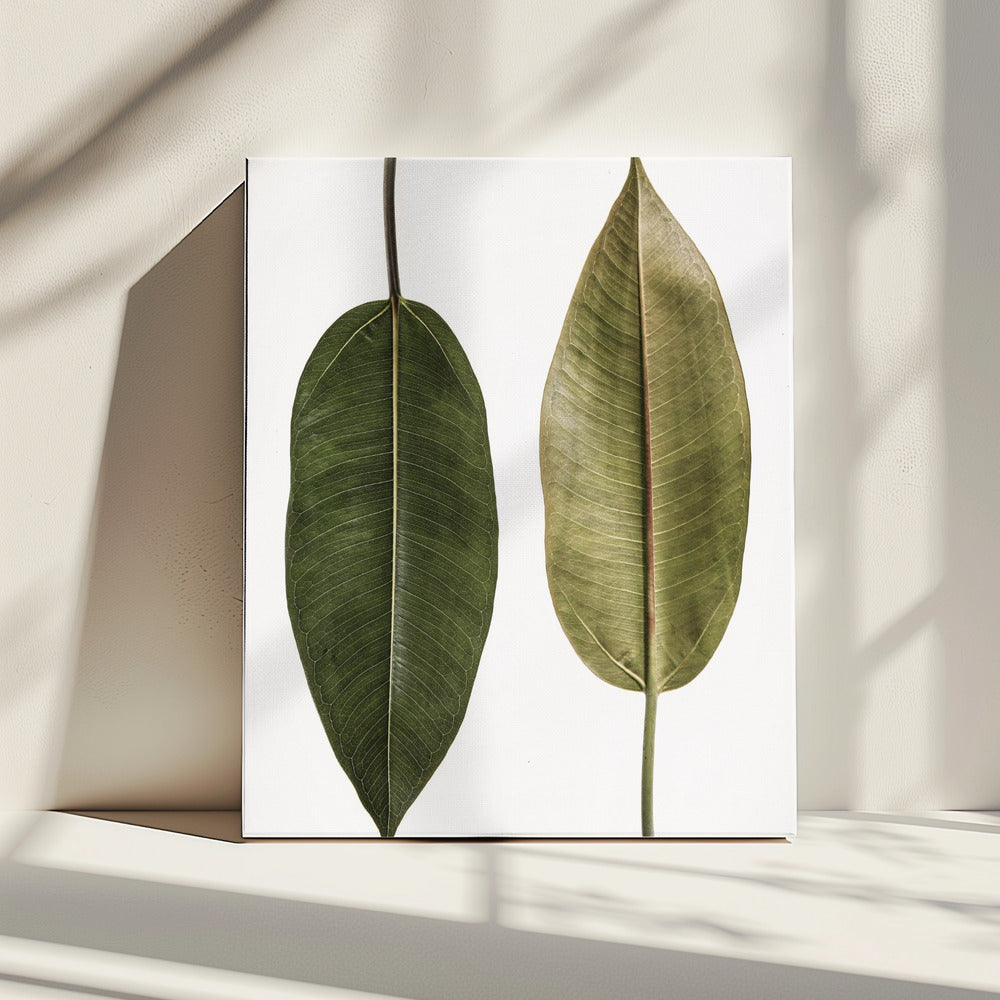 Doppelblatt Eleganz | Leinwand
