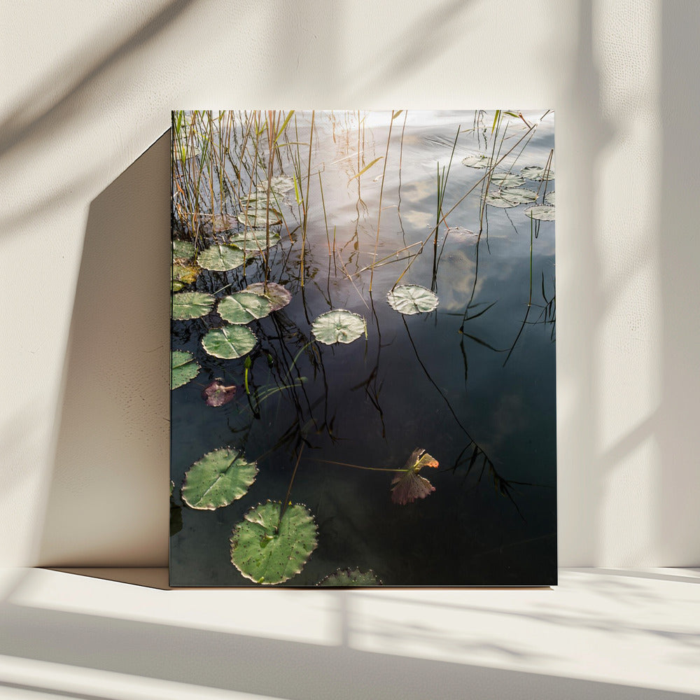 Lilys ruhige Morgendämmerung | Leinwand