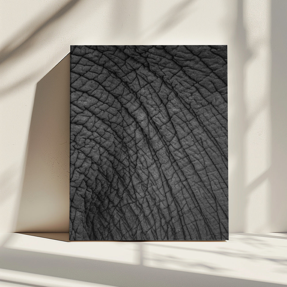 Elefanten-Wandteppich | Leinwand