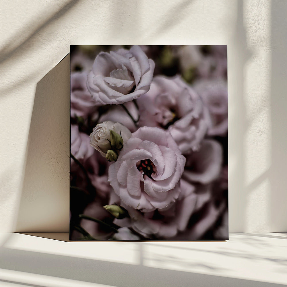 Zarte Schönheit der rosa Lisianthusblüte | Leinwand