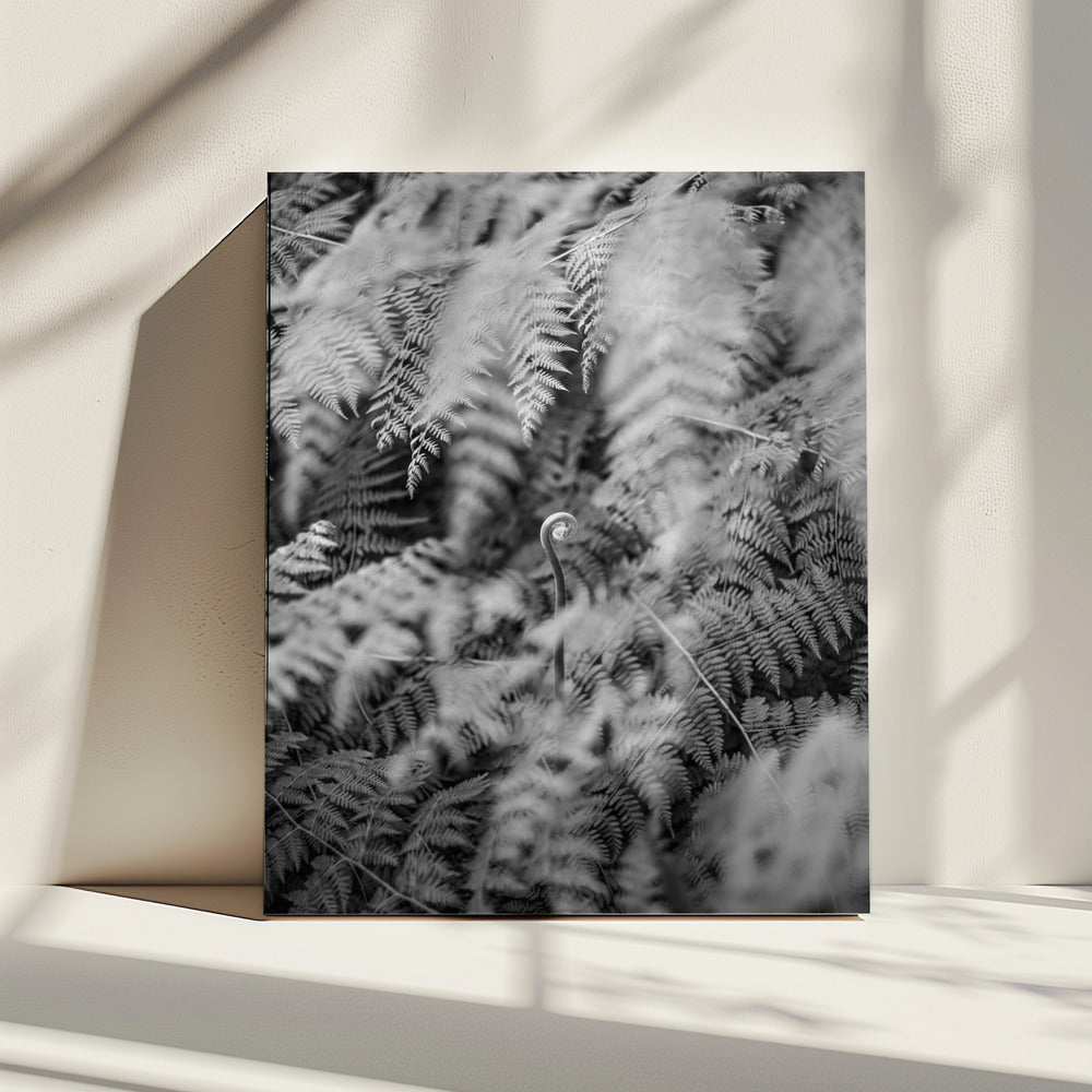 Schwarzweißfotografie | Leinwand