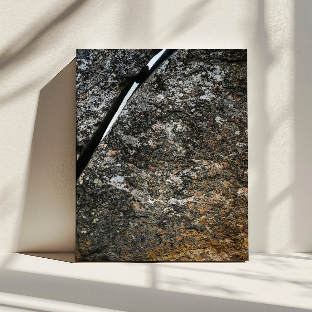 Rissige Erdader | Leinwand