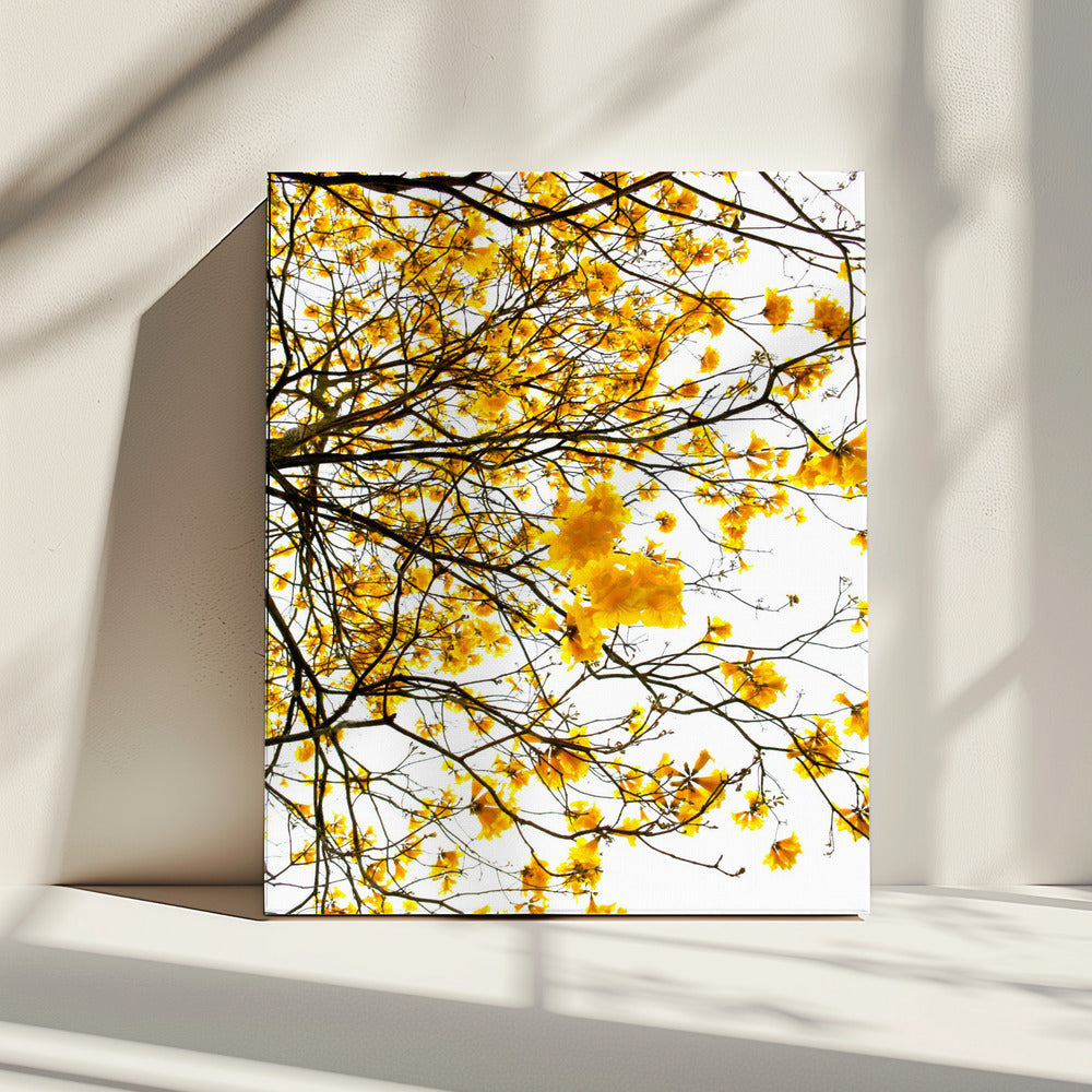 Goldener Baldachin-Ausbruch | Leinwand