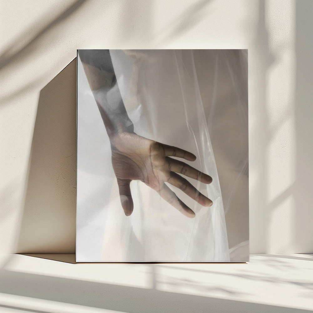 Hand Through Sheer | Canvas