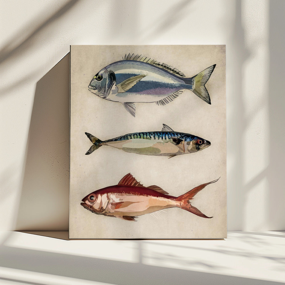 Trio des Meereslebens | Leinwand