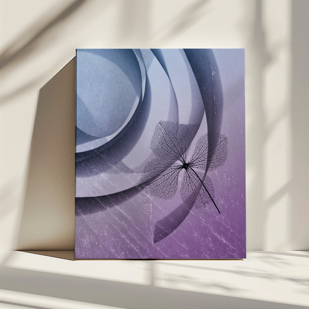 Hortensie | Leinwand