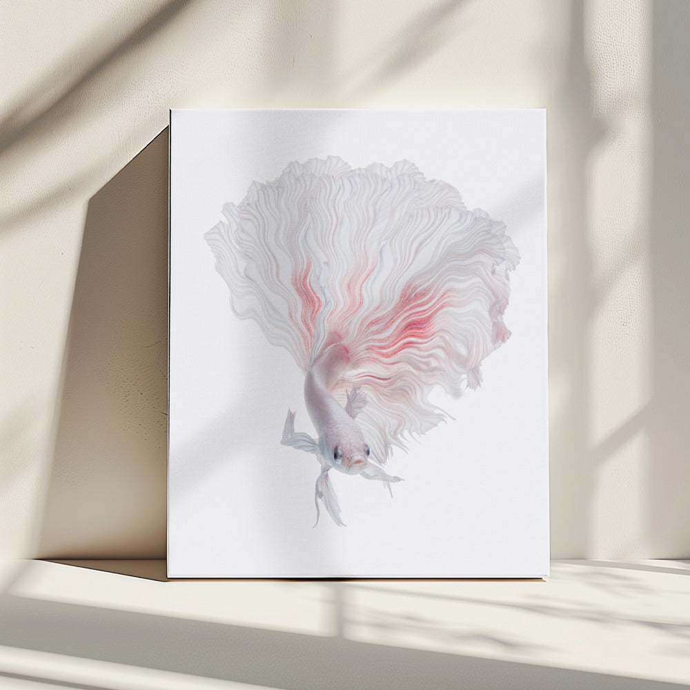 WURZEL-BETTA | Leinwand