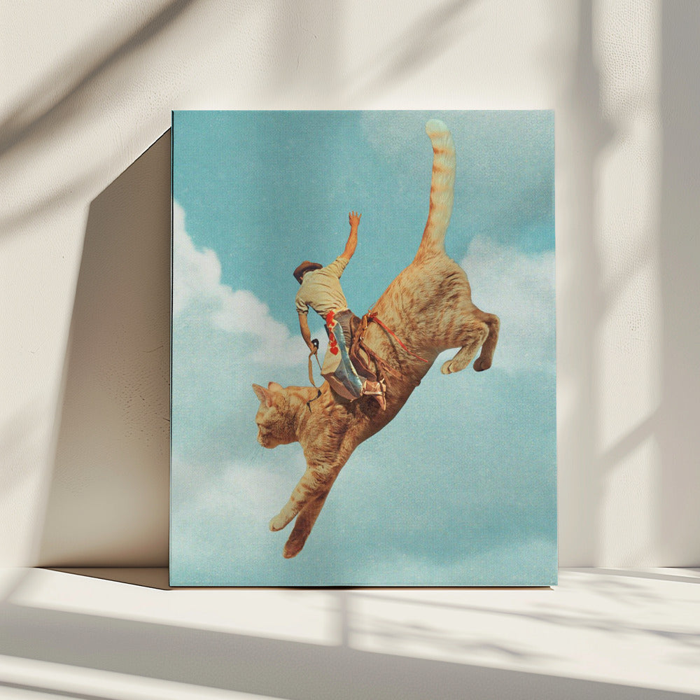 Meehaw Rodio Katze | Leinwand