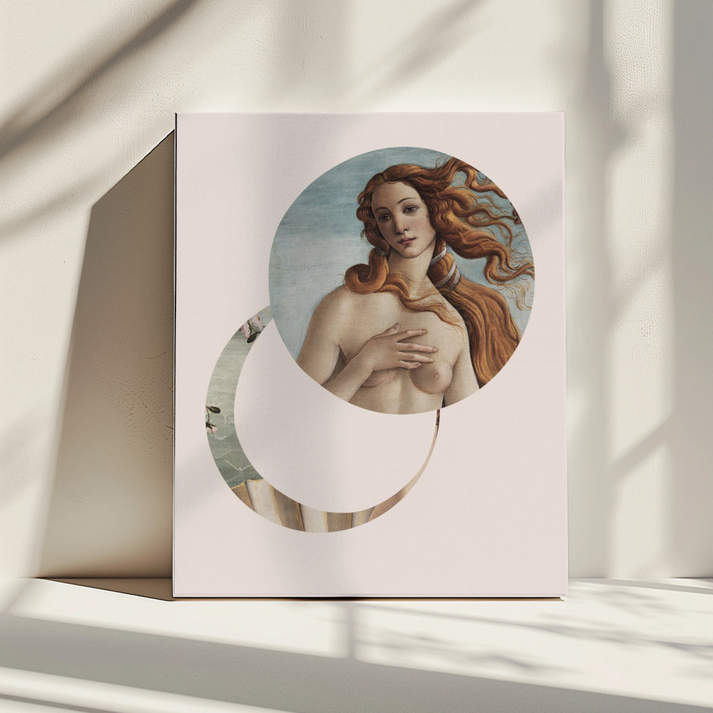 Abstrakte Venus Ratioiso | Leinwand