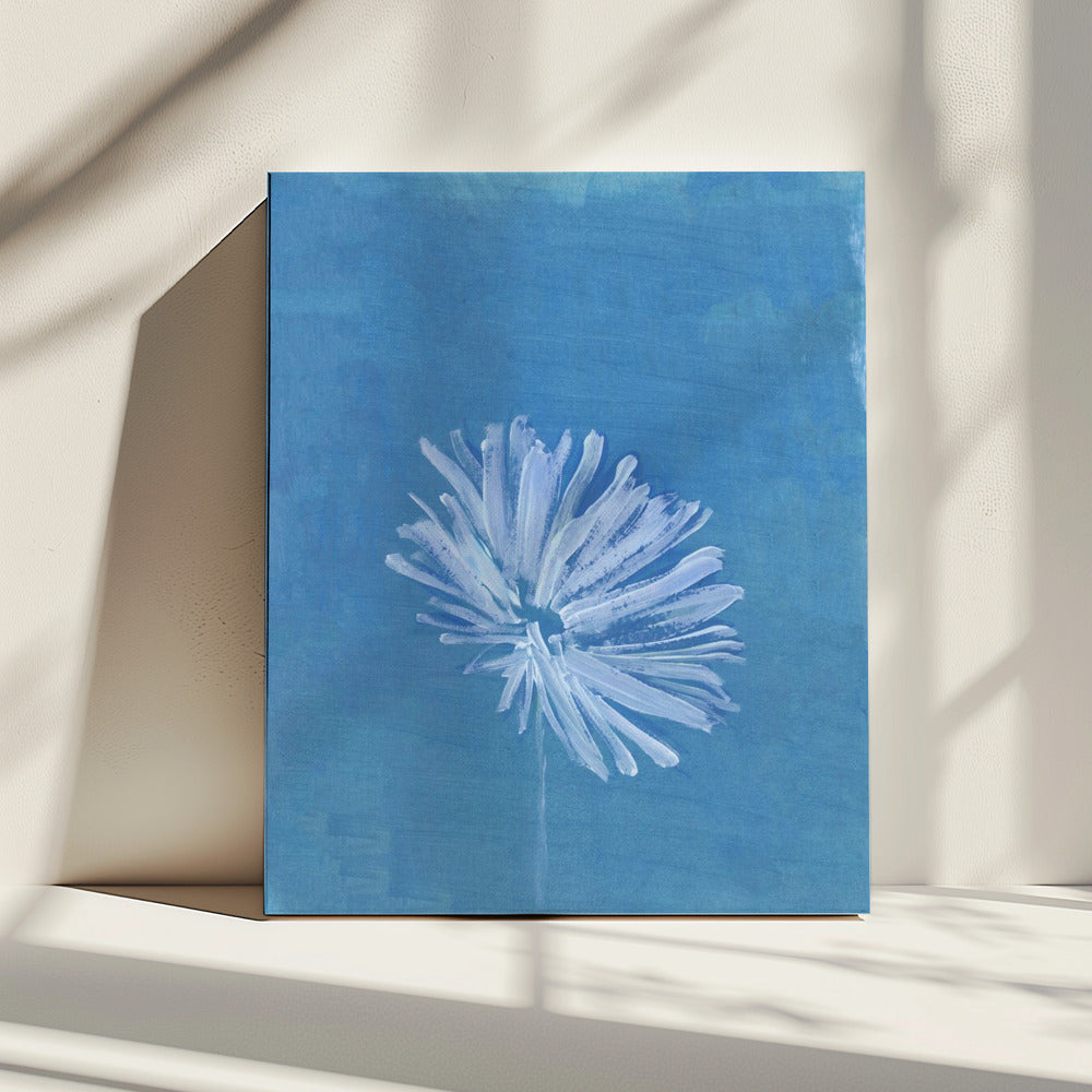 Weiße Blume auf blauem Hintergrund | Leinwand