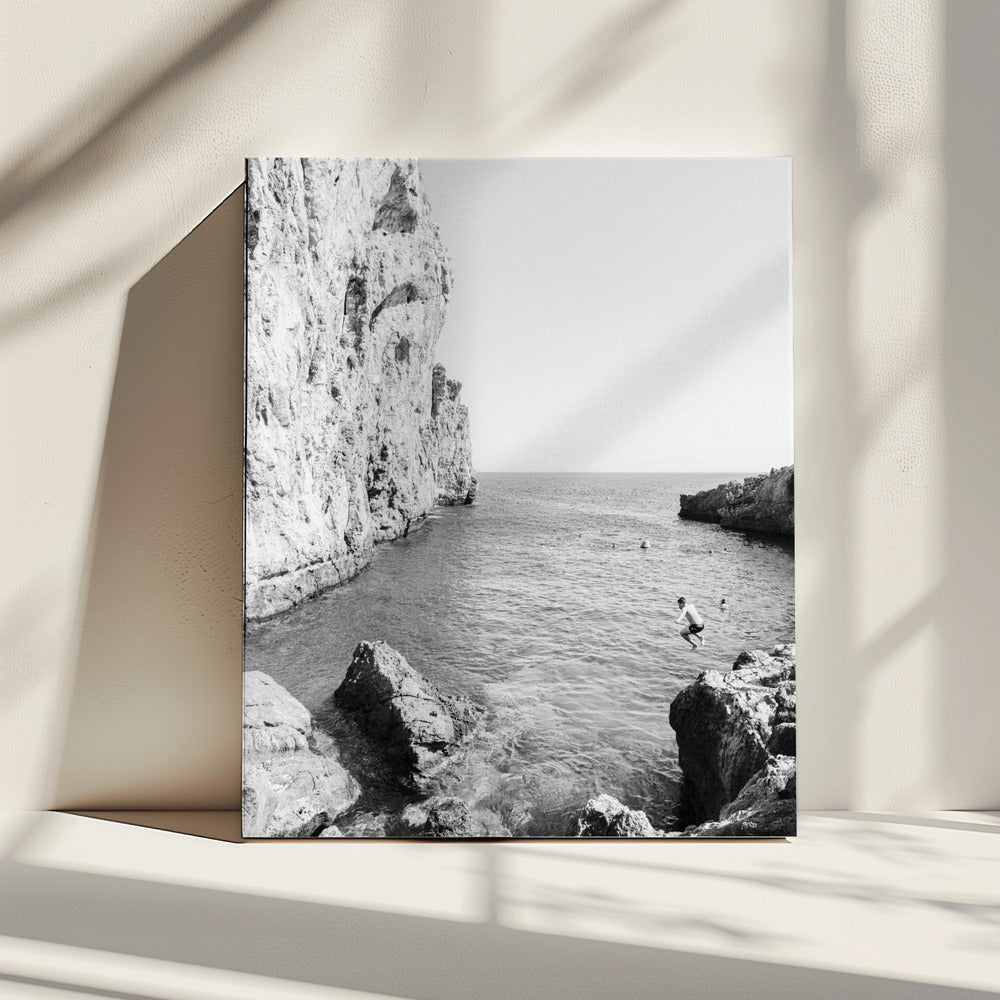 The Dive | Canvas