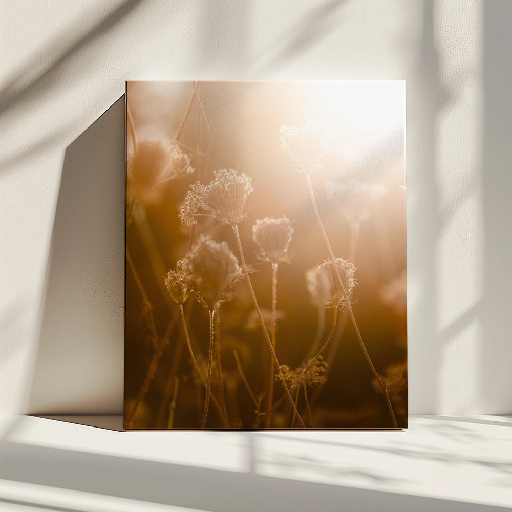 Goldene Stunde 1 | Leinwand