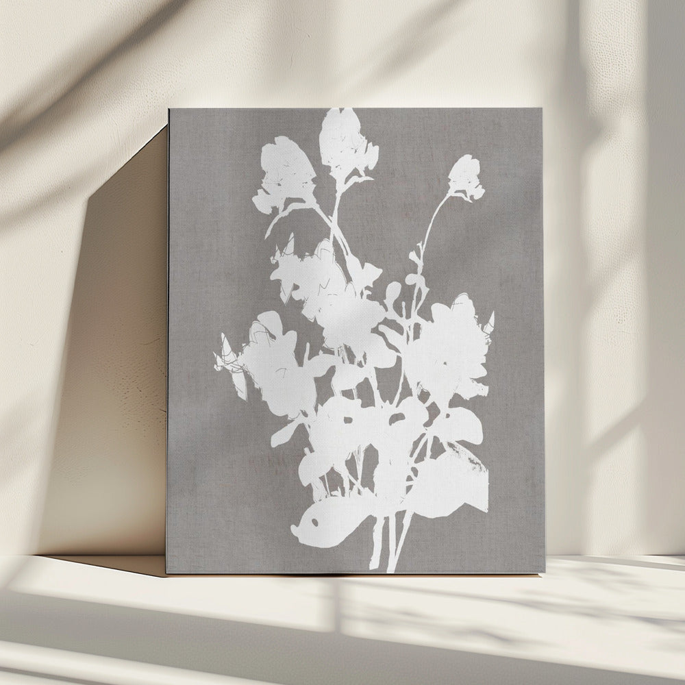 Botanische Illustration 3 | Leinwand