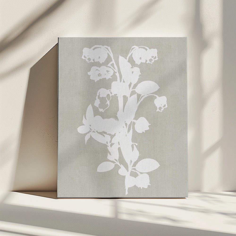 Botanische Illustration 4 | Leinwand