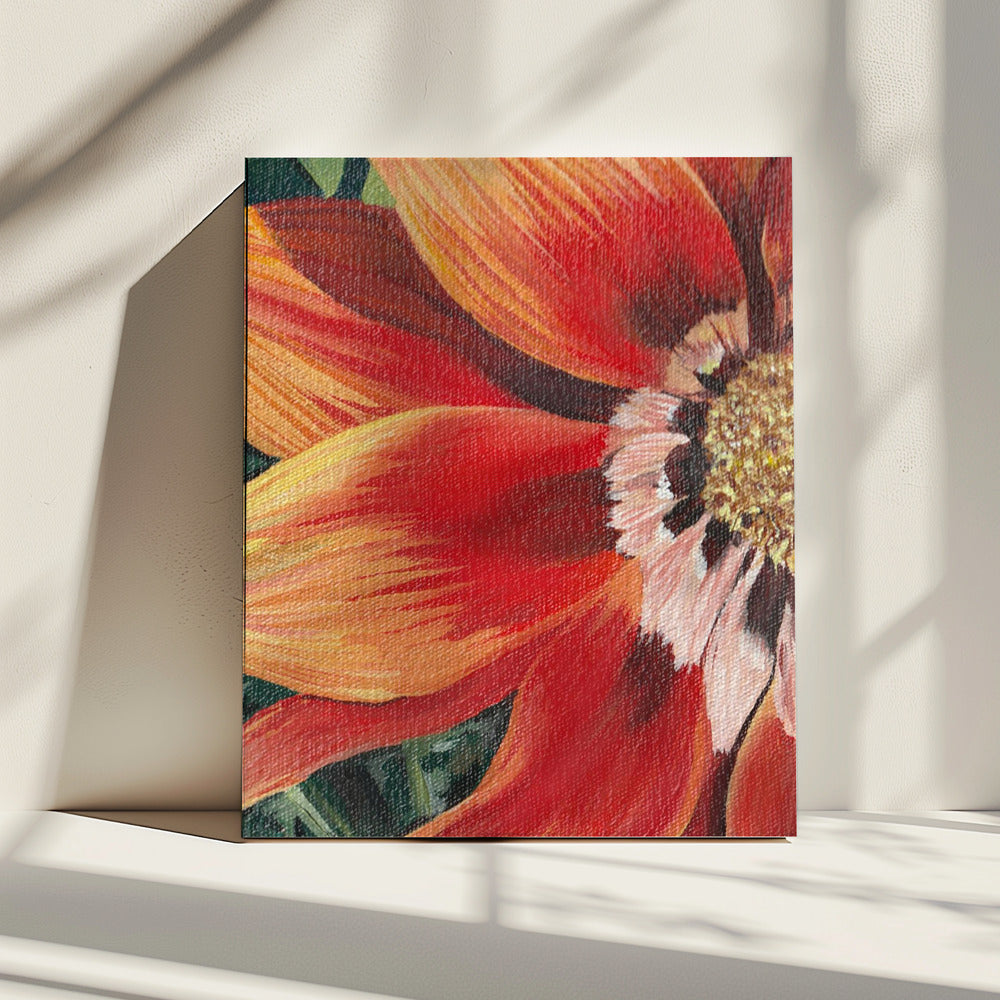 Gazania 1 By Viccy Wanliss | Canvas