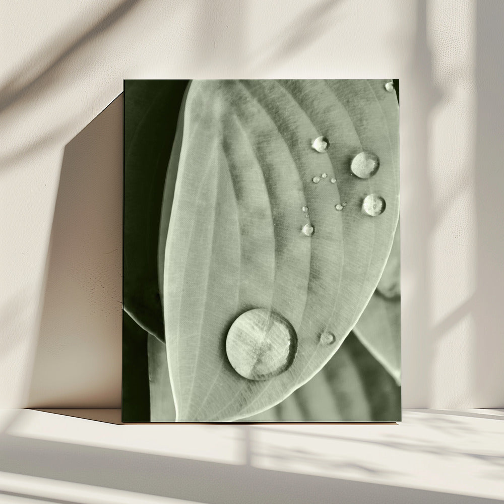 Tau auf Blatt Eleganz | Leinwand