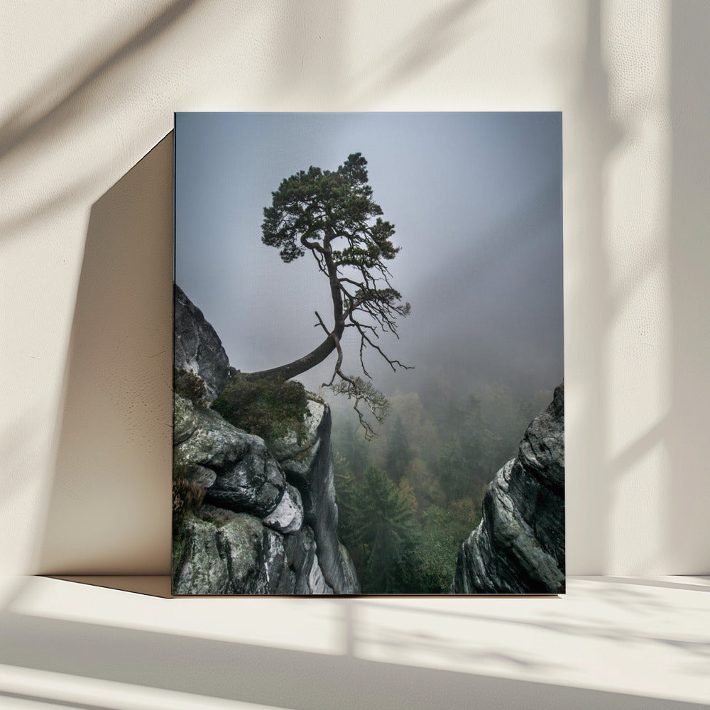 Gegen alle Widrigkeiten | Leinwand