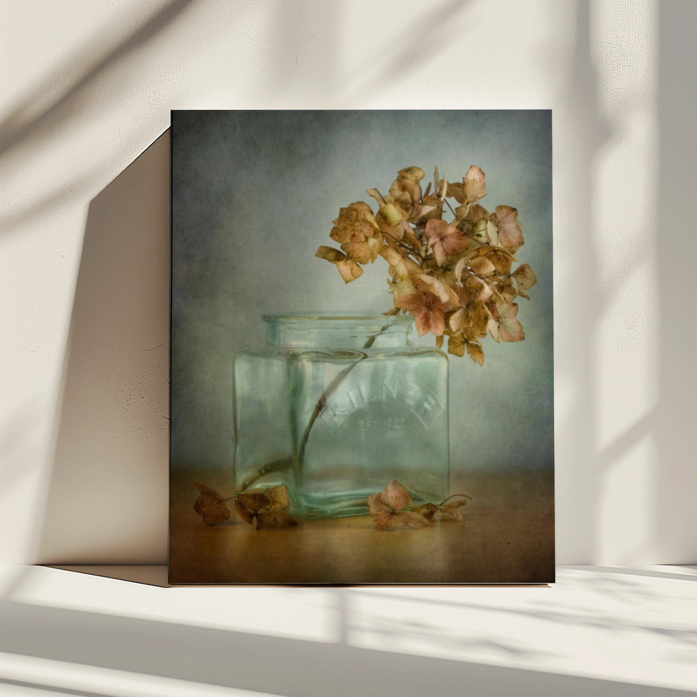 Hortensie | Leinwand