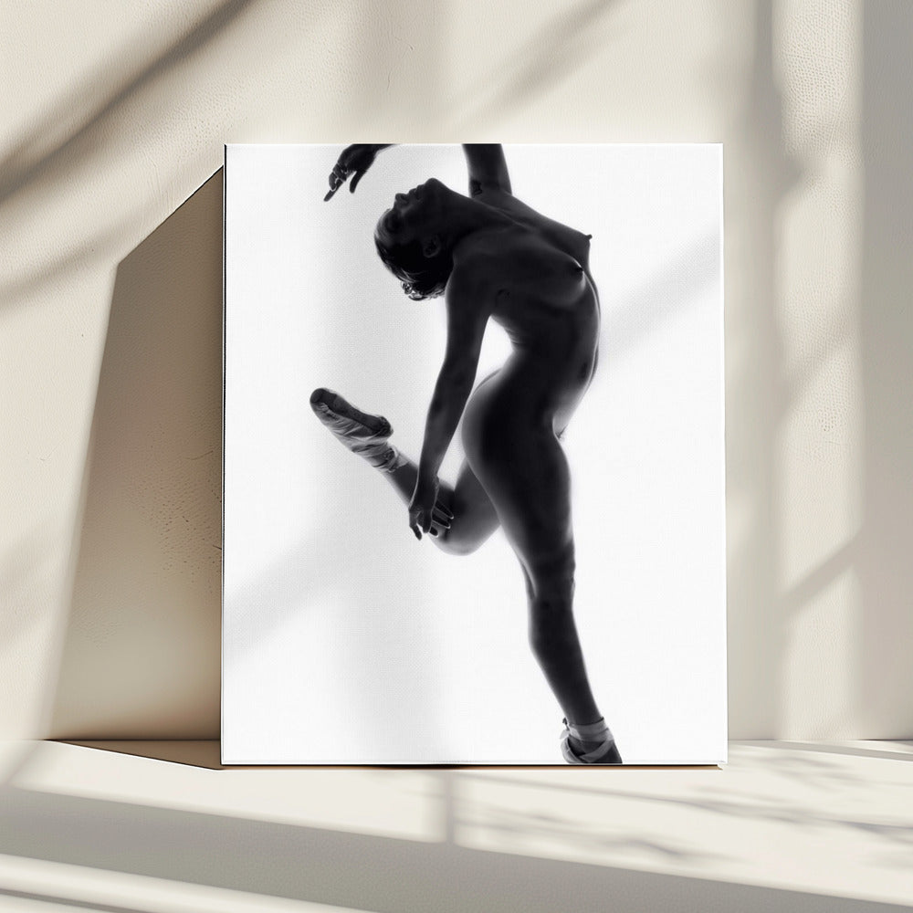 Fine Art Dance ... | Leinwand