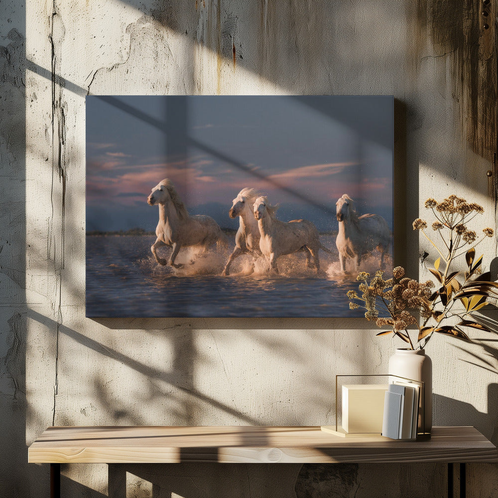 Engel der Camargue | Leinwand