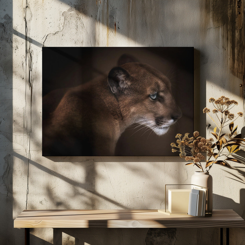 Puma | Leinwand