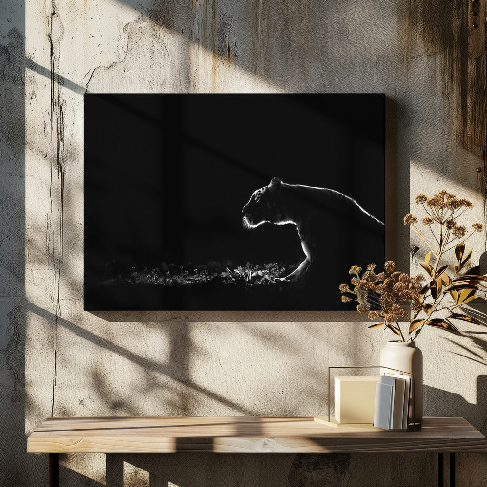 Untitled | Canvas