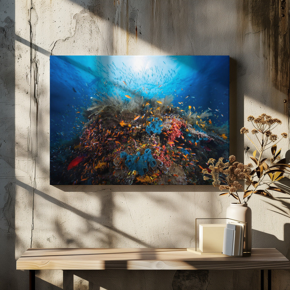 Apnea | Canvas