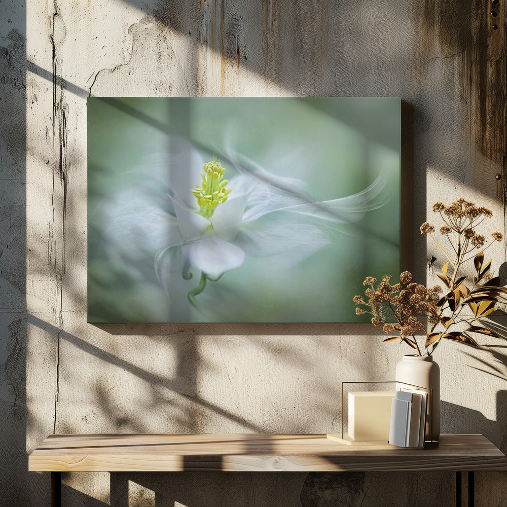 Mystisch | Leinwand