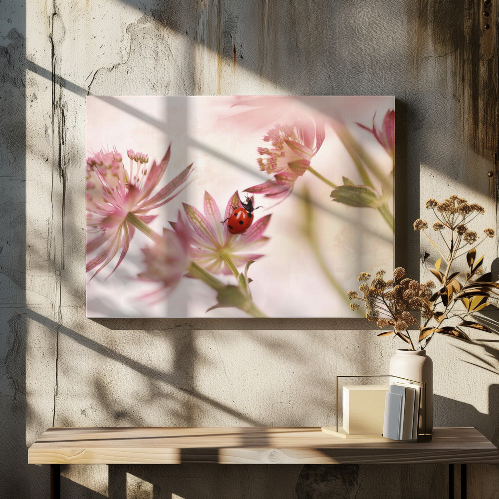 Marienkäfer und rosa Blumen | Leinwand