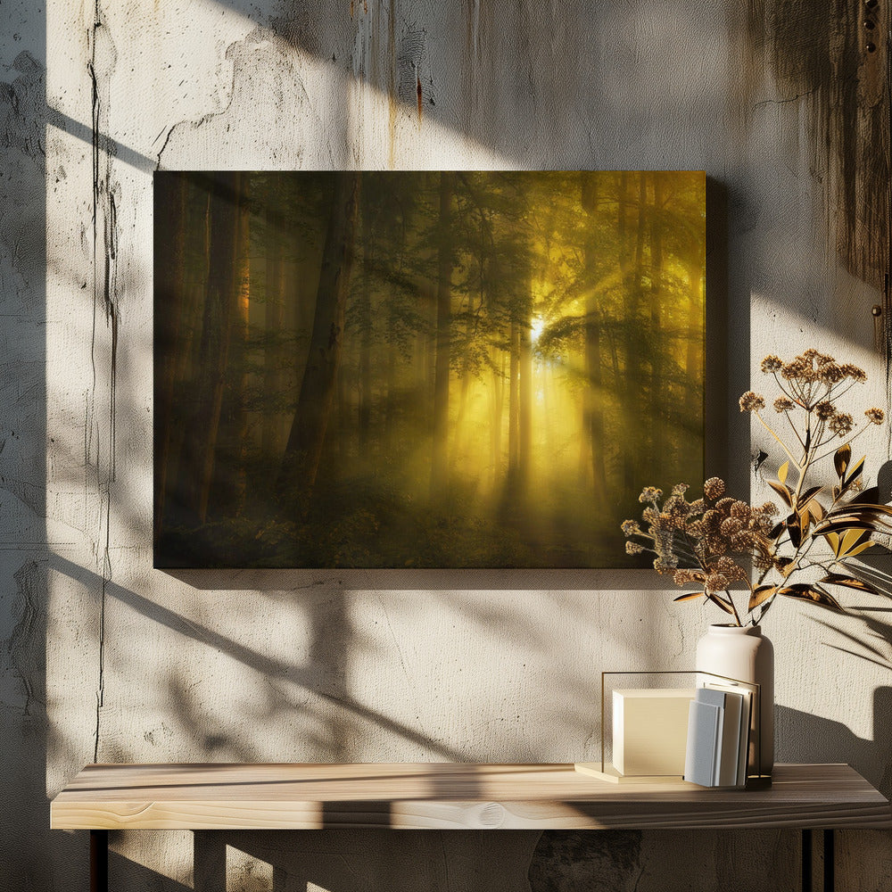 Yellow | Canvas