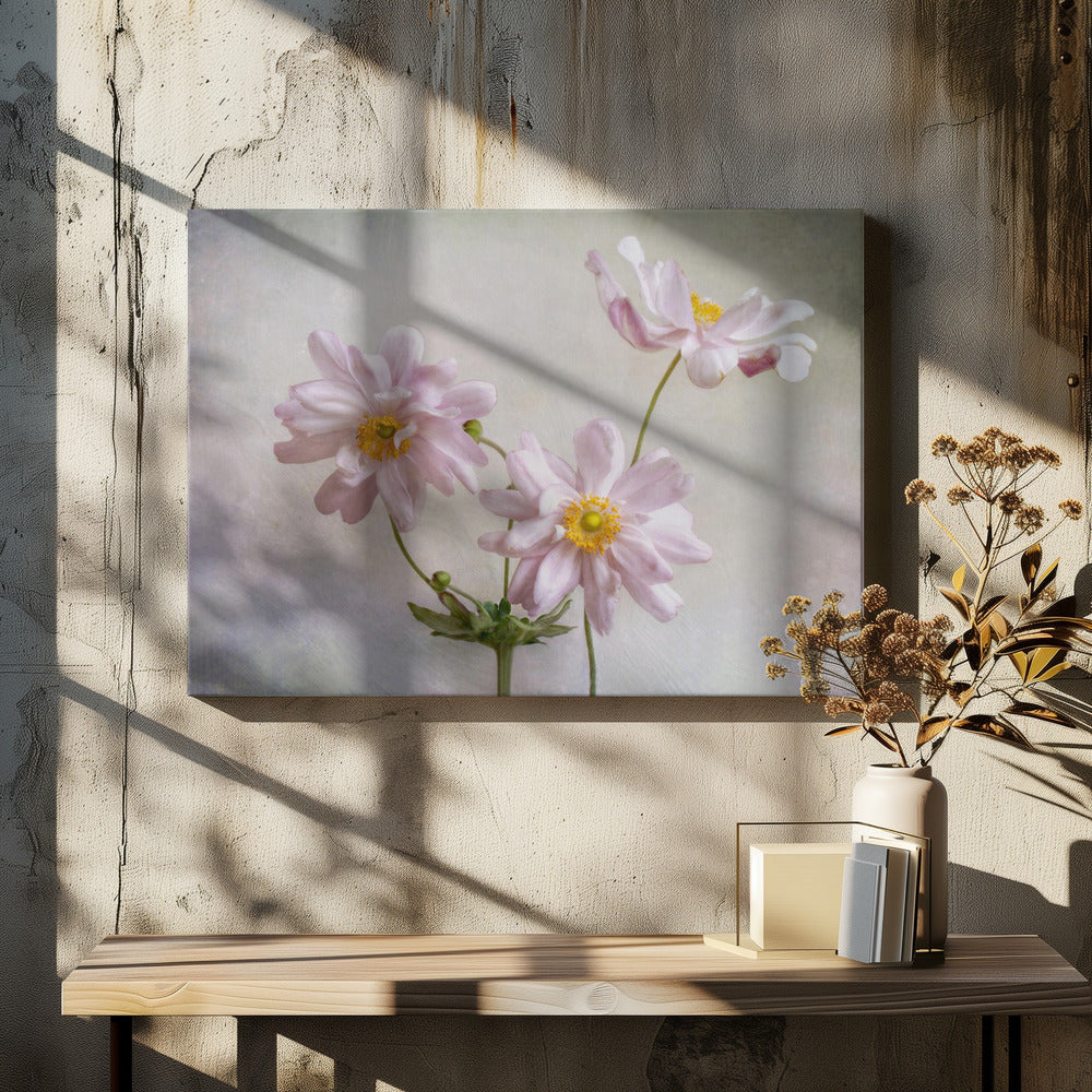Anemonen | Leinwand