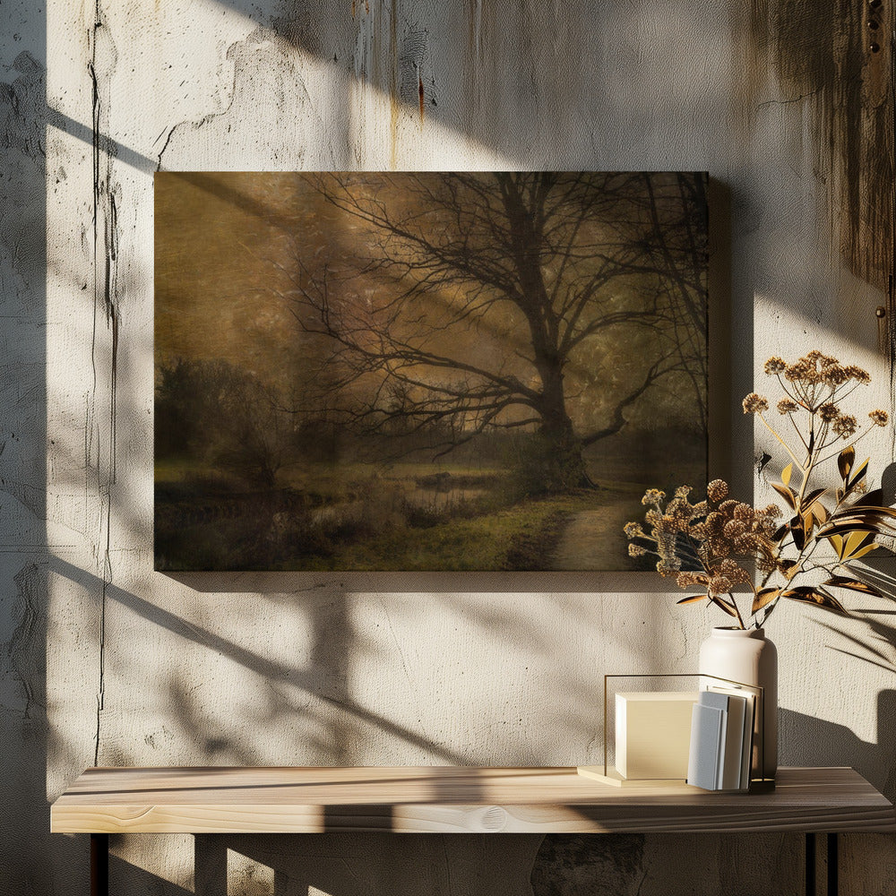 Alter Baum | Leinwand