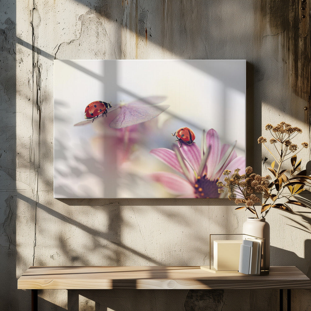 Letzte Sommertage | Leinwand