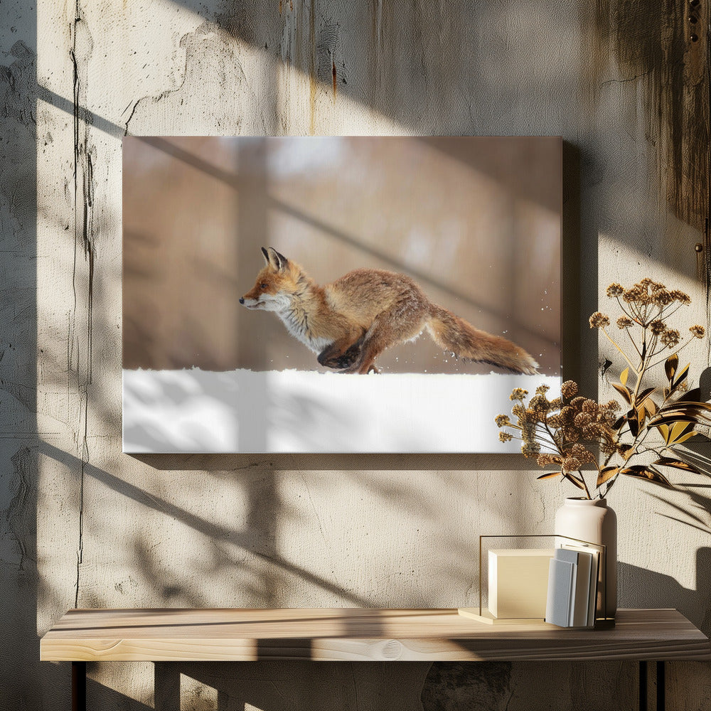Roter Fuchs | Leinwand