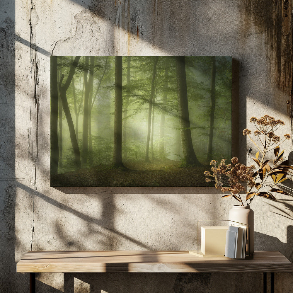 Geheimnisvoller Frühlingsmorgen | Leinwand