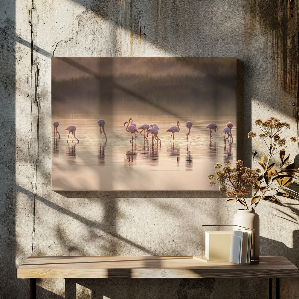 Fotografische Ode an Monet | Leinwand