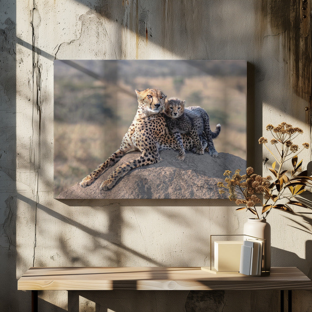 Gepard und Tasse! | Leinwand