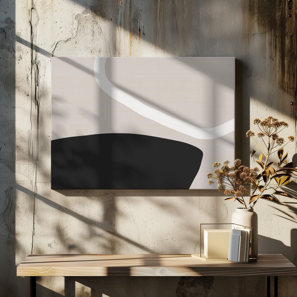 Black And White Forms | Canvas