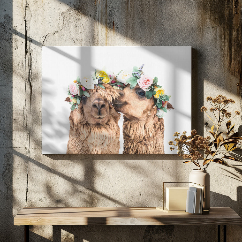 Boho Alpakas | Leinwand