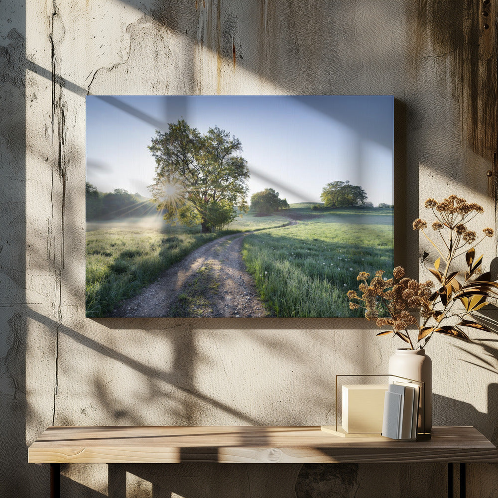 Frühlingspfad | Leinwand